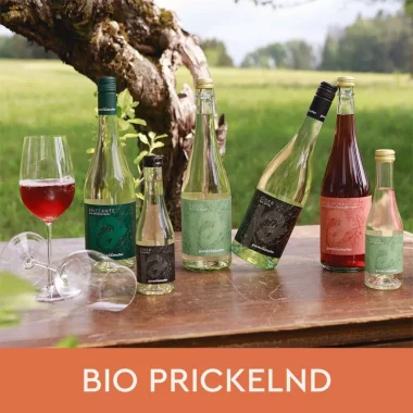 Prickelnd-Startseite-1024x1024